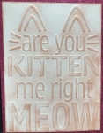 ARE YOU KITTEN ME